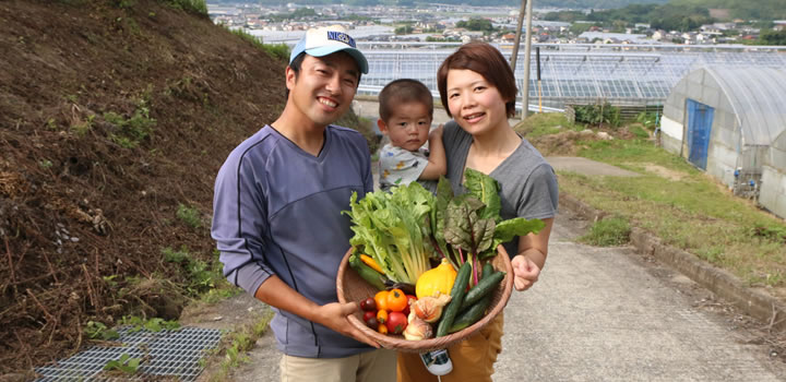 唐津市鏡山の加茂夫妻が営む菜園
