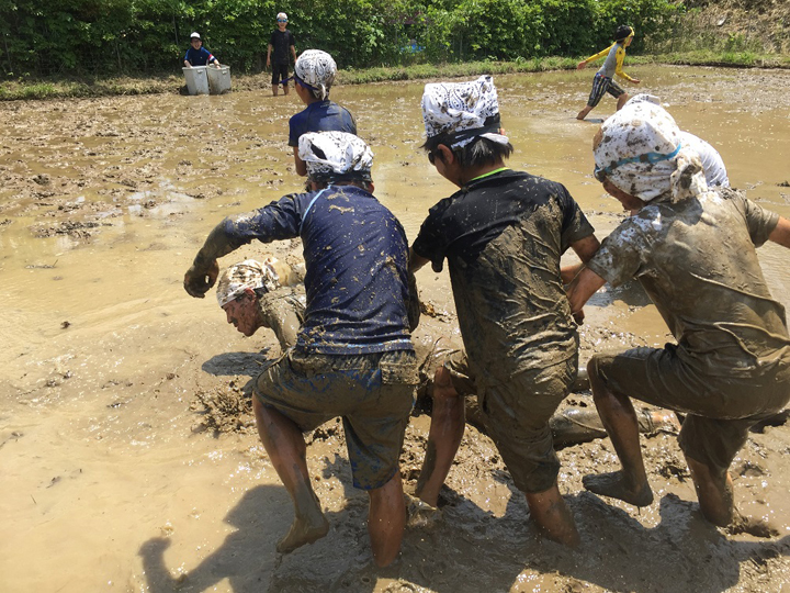 唐津の棚田の田んぼで子どもが泥んこ遊びに夢中
